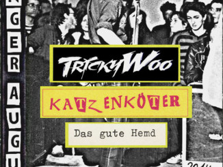 Plakat Punk-Konzert