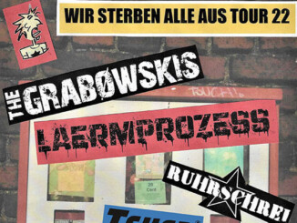 Schwerter Punk